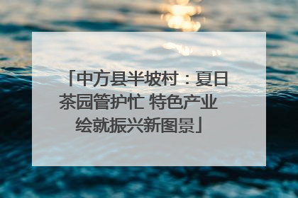 中方县半坡村：夏日茶园管护忙 特色产业绘就振兴新图景