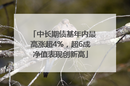 中长期债基年内最高涨超4%，超6成净值表现创新高