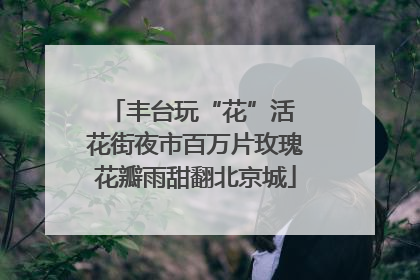 丰台玩“花”活 花街夜市百万片玫瑰花瓣雨甜翻北京城
