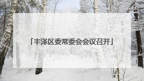 丰泽区委常委会会议召开