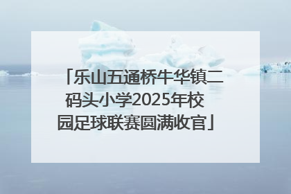 乐山五通桥牛华镇二码头小学2025年校园足球联赛圆满收官