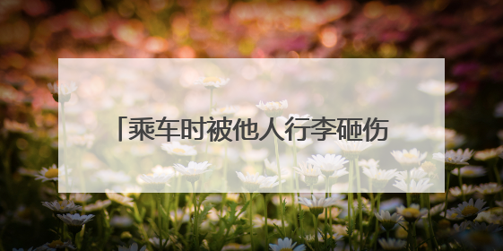 乘车时被他人行李砸伤,谁来承担赔偿责任?