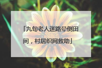 九旬老人迷路晕倒田间，村居织网救助