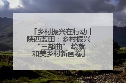 乡村振兴在行动丨陕西蓝田：乡村振兴 “三部曲” 绘就和美乡村新画卷
