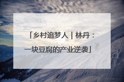 乡村追梦人｜林丹：一块豆腐的产业逆袭