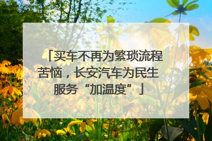 买车不再为繁琐流程苦恼，长安汽车为民生服务“加温度”