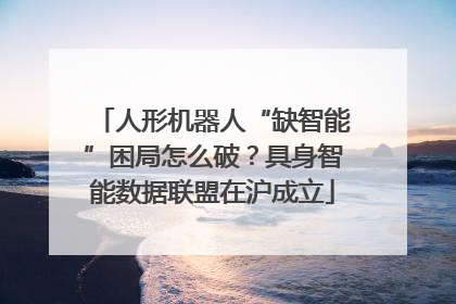 人形机器人“缺智能”困局怎么破？具身智能数据联盟在沪成立