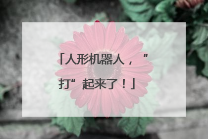 人形机器人，“打”起来了！