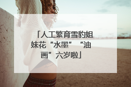 人工繁育雪豹姐妹花“水墨”“油画”六岁啦