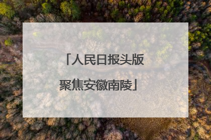人民日报头版聚焦安徽南陵