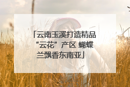 云南玉溪打造精品“云花”产区 蝴蝶兰飘香东南亚