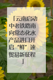 云南启动中老铁路南向常态化水产品进口开启“鲜”速贸易新征程