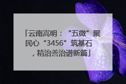 云南嵩明：“五微”聚民心“3456”筑基石，精治善治谱新篇