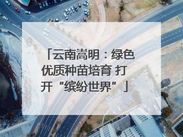 云南嵩明：绿色优质种苗培育 打开“缤纷世界”