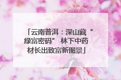 云南普洱：深山藏“绿富密码” 林下中药材长出致富新图景