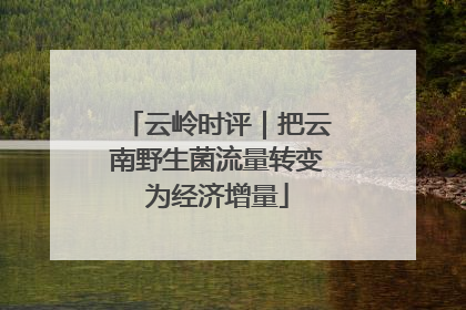 云岭时评｜把云南野生菌流量转变为经济增量