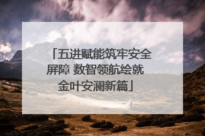 五进赋能筑牢安全屏障 数智领航绘就金叶安澜新篇