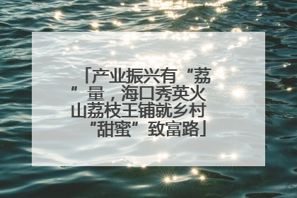 产业振兴有“荔”量，海口秀英火山荔枝王铺就乡村“甜蜜”致富路