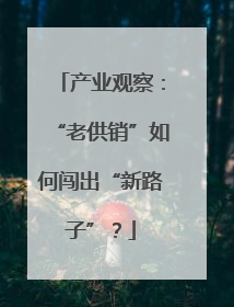 产业观察：“老供销”如何闯出“新路子”？