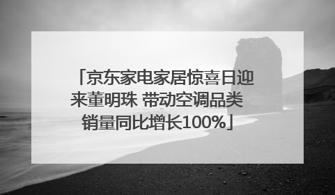 京东家电家居惊喜日迎来董明珠 带动空调品类销量同比增长100%