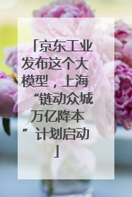 京东工业发布这个大模型，上海“链动众城 万亿降本”计划启动