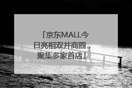 京东MALL今日亮相双井商圈，聚集多家首店