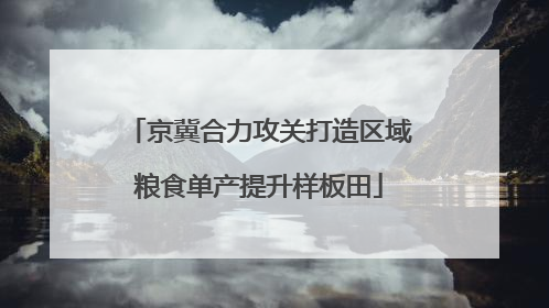 京冀合力攻关打造区域粮食单产提升样板田