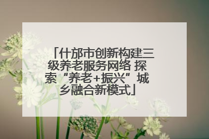 什邡市创新构建三级养老服务网络 探索“养老+振兴”城乡融合新模式