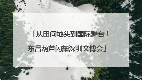 从田间地头到国际舞台！东昌葫芦闪耀深圳文博会