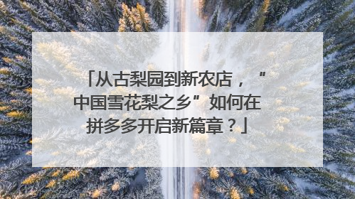 从古梨园到新农店，“中国雪花梨之乡”如何在拼多多开启新篇章？