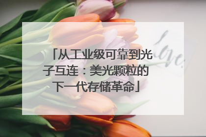 从工业级可靠到光子互连：美光颗粒的下一代存储革命