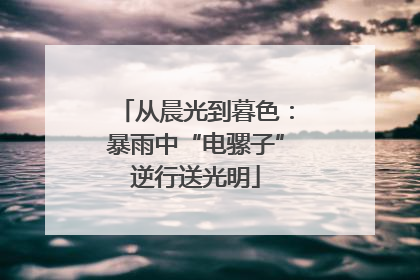 从晨光到暮色：暴雨中“电骡子”逆行送光明
