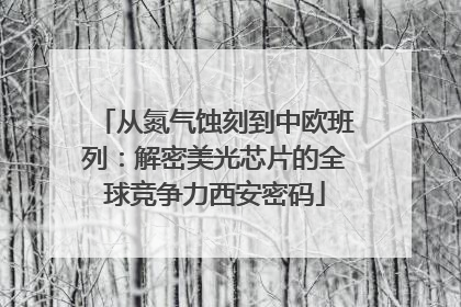 从氮气蚀刻到中欧班列：解密美光芯片的全球竞争力西安密码