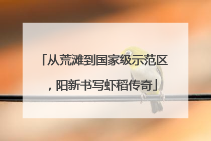从荒滩到国家级示范区，阳新书写虾稻传奇