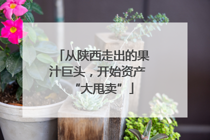 从陕西走出的果汁巨头，开始资产“大甩卖”