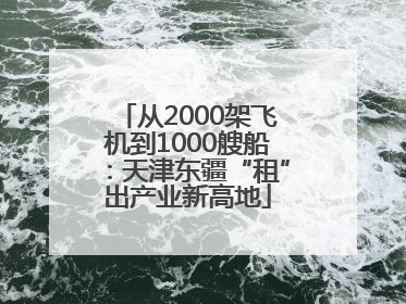 从2000架飞机到1000艘船：天津东疆“租”出产业新高地