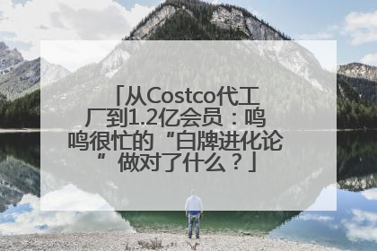 从Costco代工厂到1.2亿会员：鸣鸣很忙的“白牌进化论”做对了什么？