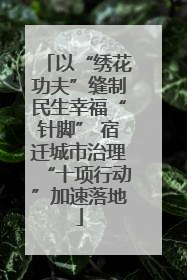 以“绣花功夫”缝制民生幸福“针脚” 宿迁城市治理“十项行动”加速落地