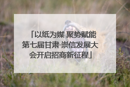 以纸为媒 聚势赋能 第七届甘肃·崇信发展大会开启招商新征程