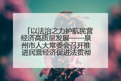 以法治之力护航民营经济高质量发展——泉州市人大常委会召开推进民营经济促进法贯彻实施座谈会