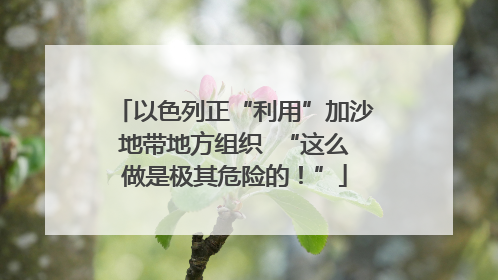以色列正“利用”加沙地带地方组织  “这么做是极其危险的！”