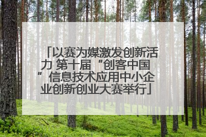以赛为媒激发创新活力 第十届“创客中国”信息技术应用中小企业创新创业大赛举行