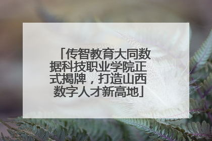传智教育大同数据科技职业学院正式揭牌，打造山西数字人才新高地