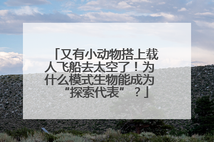 又有小动物搭上载人飞船去太空了！为什么模式生物能成为“探索代表”？