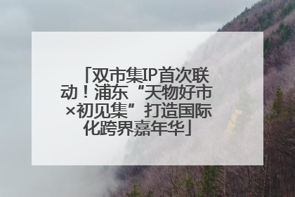 双市集IP首次联动！浦东“天物好市×初见集”打造国际化跨界嘉年华