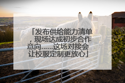 发布供给能力清单,现场达成初步合作意向……这场对接会让校服定制更放心