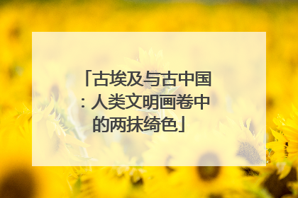 古埃及与古中国：人类文明画卷中的两抹绮色
