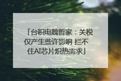 台积电魏哲家：关税仅产生些许影响 拦不住AI芯片炽热需求