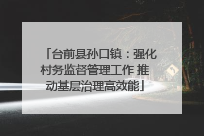 台前县孙口镇：强化村务监督管理工作 推动基层治理高效能
