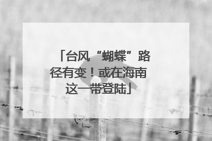 台风“蝴蝶”路径有变！或在海南这一带登陆